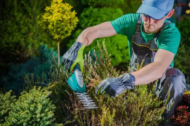landscaping services Bridgewater